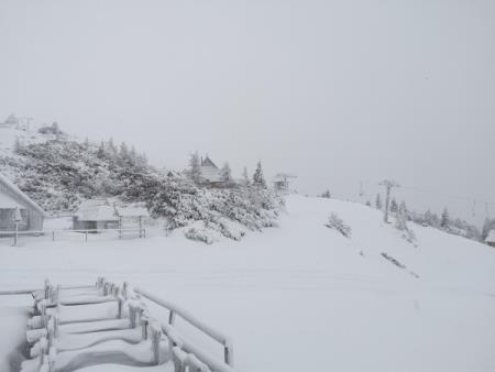 Pobeljena Velika planina vabi, da jo obiščete 2